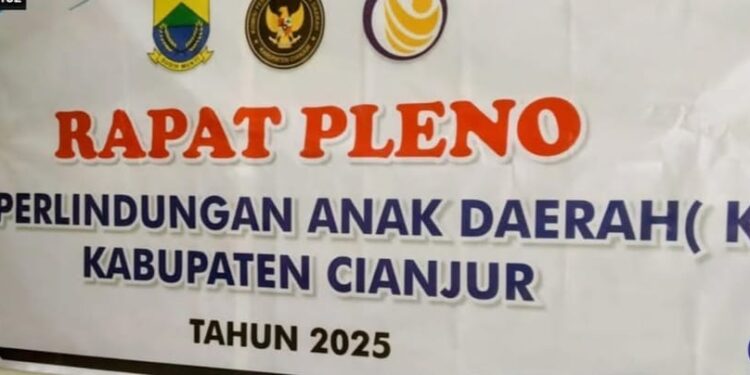 Pleno Pemilihan Calon Ketua KPAID Cianjur Diduga Ilegal, DP2KBP3A Beri Penjelasan!