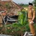 Angin Puting Beliung Terjang Cilaku, 8 Rumah dan 1 Madrasah Rusak