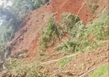 Tebing Setinggi 100 Meter Longsor di Cibinong, Seorang Petani Sempat Tertimbun