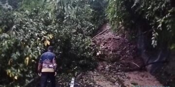 Tebing Longsor di Cibinong, Akses Jalan Cianjur Selatan Lumpuh Total