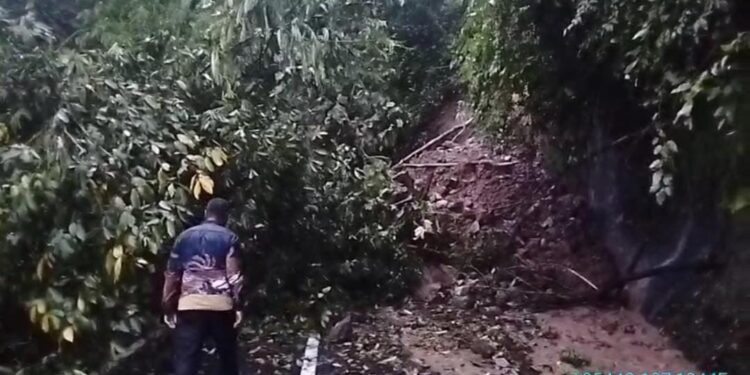Tebing Longsor di Cibinong, Akses Jalan Cianjur Selatan Lumpuh Total