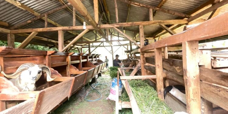 Bank Tanah Inisiasi Program Pemberdayaan Masyarakat dalam Implementasi Reforma Agraria di Cianjur