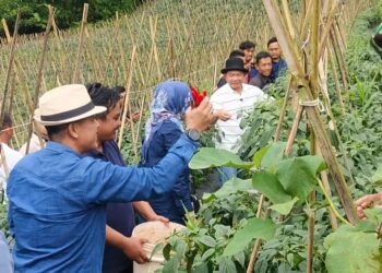Jenderal TNI (Purn.) Prof. Dr. H. Dudung Abdurachman, S.E., M.M menggelar panen bersama masyarakat Desa Sukasari Kecamatan Kadupandak. (Dok/Istimewa).