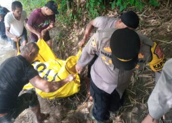 EVAKUASI, jenazah petani yang hilang di Sungai kawasan Desa Muaracikadu Kecamatan Sindangbarang dievakuasi petugas pencari. (Dok/Istimewa).