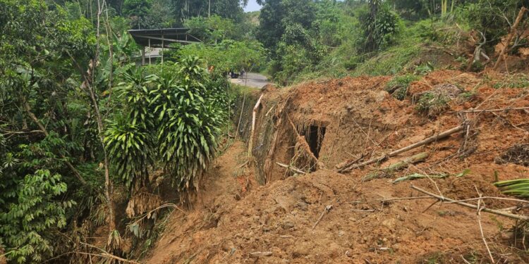 Jalan Menuju Situs Gunung Padang Tertutup Longsor Sepanjang 50 Meter, Alat Berat Dikerahkan Evakuasi Material