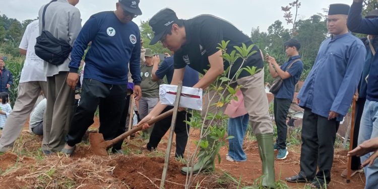 Desa Sukadana Lokasi Penanaman 10 Ribu Pohon, Upaya Cegah Bencana dan Bantu Ketahanan Pangan