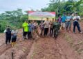 Dukung Ketahanan Pangan, Polsek Bojongpicung Tanam Jagung Hibrida di Haurwangi