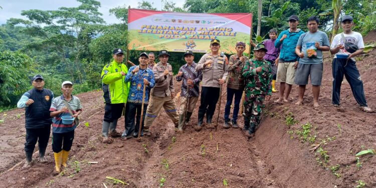 Dukung Ketahanan Pangan, Polsek Bojongpicung Tanam Jagung Hibrida di Haurwangi