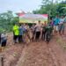 Dukung Ketahanan Pangan, Polsek Bojongpicung Tanam Jagung Hibrida di Haurwangi