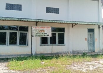 Ratusan Pemetik Kakao Belum Terima Gaji Selama 7 Bulan, Pihak Perusahaan Berdalih Produksi Turun