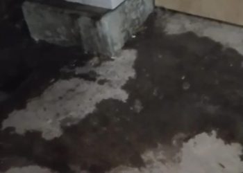 Diduga Limbah Cair Dapur MBG Cemari Lingkungan, Warga Cibeber Protes Bau