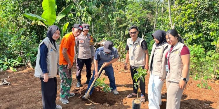 Kegiatan KKN Mahasiswa Unsur Cianjur di Desa Sukaratu Diselingi Tanam Pohon