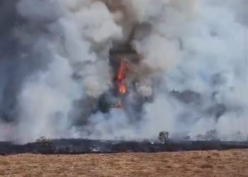 Lahan Alun-alun Terbakar, Balai Besar TNGGP Tutup Pendakian Selama 5 Hari