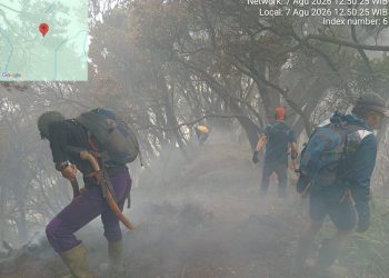 Kebakaran di Kawah Wadon Gunung Gede Masih Terjadi, Hampir 10 Hektare Lahan Hangus