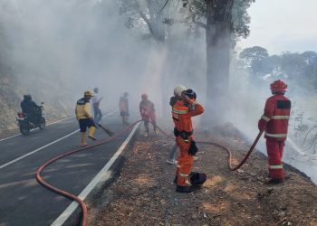 Diduga Ada yang Bakar Sampah, Lahan di Kawasan Hutan di Tanggeung Terbakar