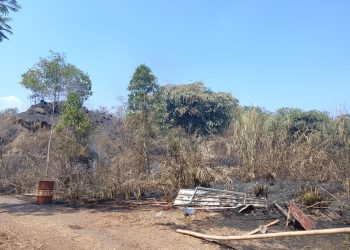 Sehari Terjadi Lima Kebakaran Lahan di Lokasi Berbeda di Cianjur