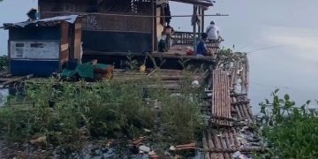 Air Waduk Cirata Menyusut, Pembudidaya Ikan Kolam Jaring Apung Terpaksa Panen Lebih Awal
