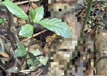 Polres Cianjur Selidiki Temuan Mayat Tinggal Tulang Belulang di Cibeber