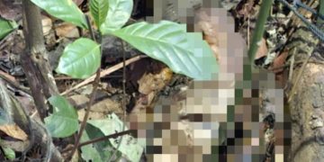 Polres Cianjur Selidiki Temuan Mayat Tinggal Tulang Belulang di Cibeber