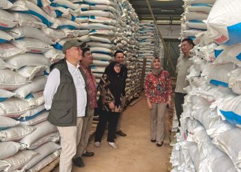 Hadapi Musim Tanam I, Dinas TPHP Cianjur Pastikan Stok Pupuk Subsidi Aman