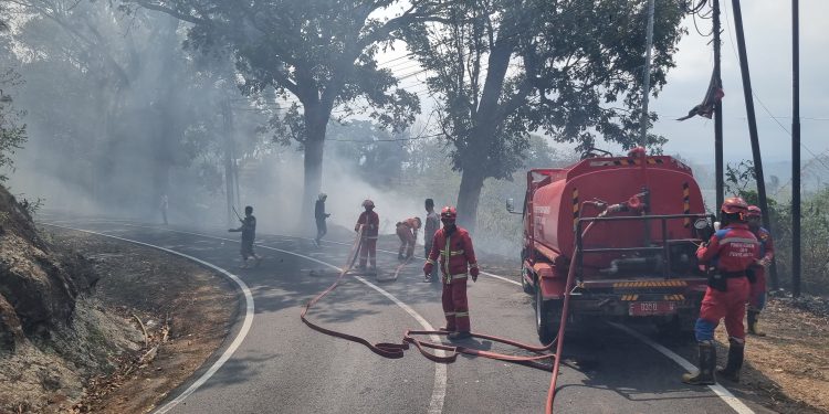 Pelambatan Musim Hujan, Pemkab Cianjur Perpanjang Status Siaga Darurat Karhutla
